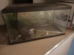 Aquarium, Ophalen, Gebruikt, Leeg aquarium