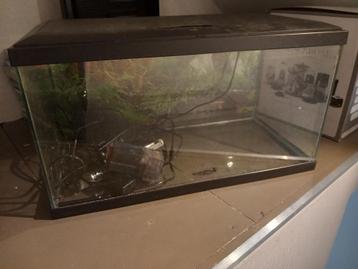 Aquarium  beschikbaar voor biedingen