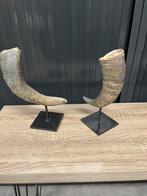 2 hoorns, Enlèvement ou Envoi, Comme neuf
