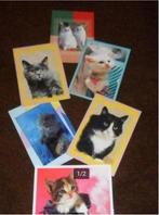 6 cartes postales chats, Enlèvement