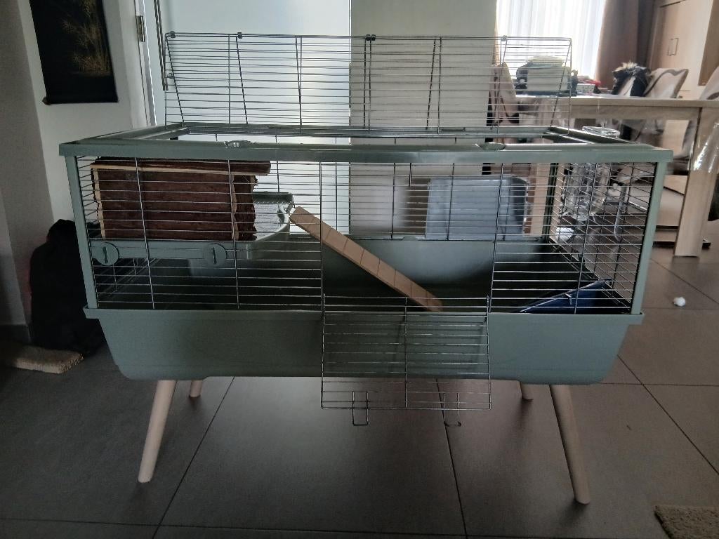 Cage pour petit animaux, Dieren en Toebehoren, Knaagdieren en Konijnen | Hokken en Kooien, Zo goed als nieuw, Kooi, Minder dan 60 cm