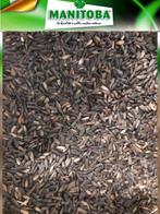 Petites graines de tournesol (picollo) 1 kg - Manitoba, Animaux & Accessoires, Enlèvement
