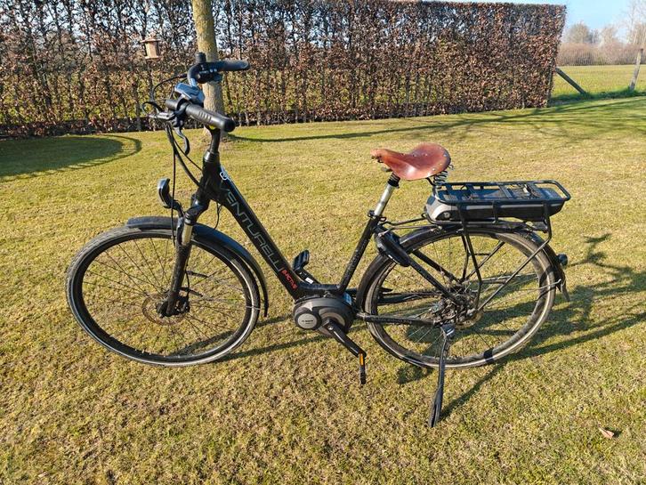 Venturelli B active - motor nazicht nodig, Fietsen en Brommers, Elektrische fietsen, Gebruikt, Overige merken, 51 tot 55 cm, 50 km per accu of meer