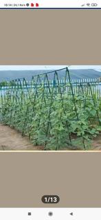 Serre légumes ou échange contre 6 chaises et tables jardin