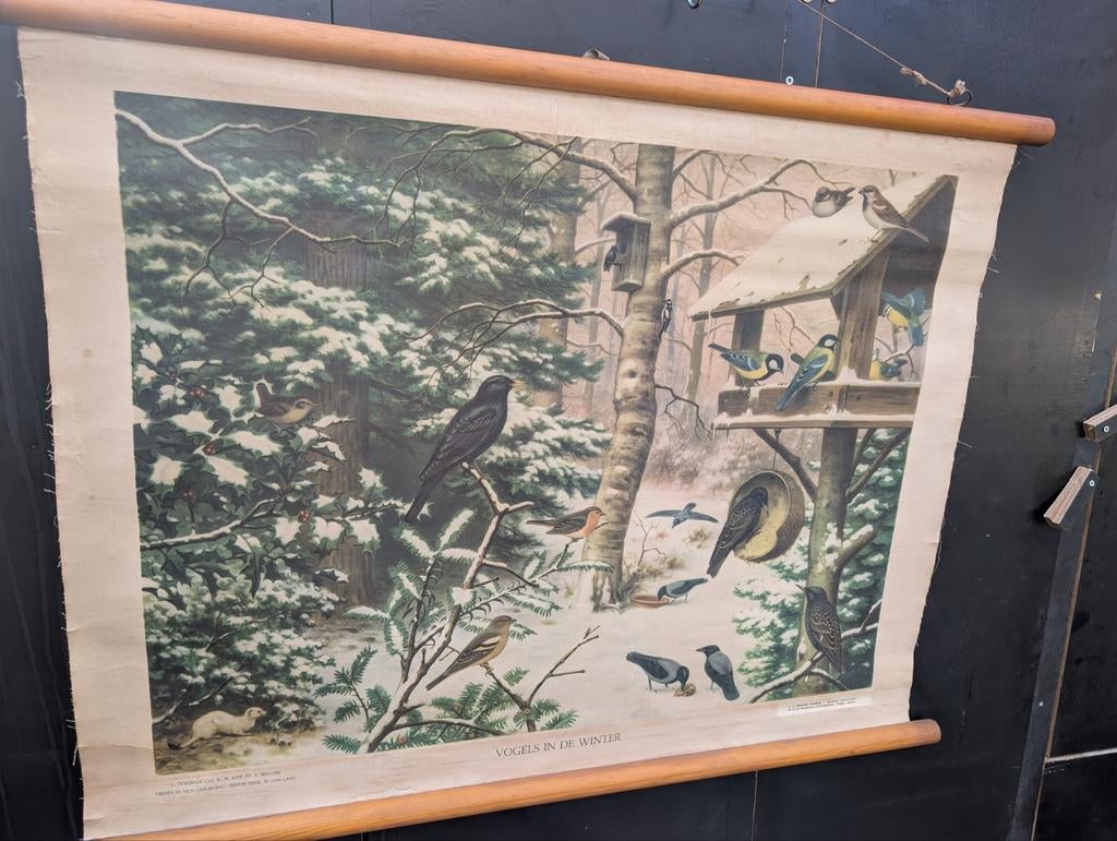 Schoolplaat vogels in de winter, Antiquités & Art, Enlèvement