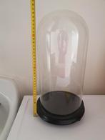 Cloche en verre, Enlèvement