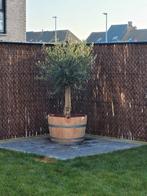 ‼️halve eiken wijntonnen aan stuntprijzen ‼️, Tuin en Terras, Planten | Bomen, Ophalen