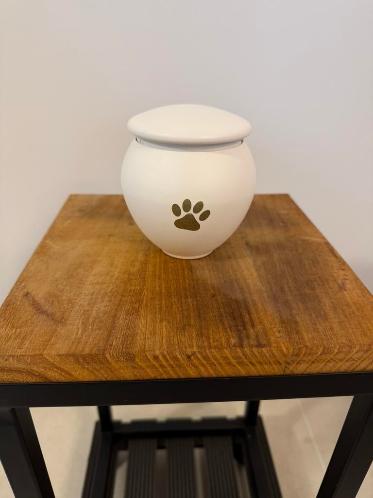 Urne, Enlèvement, Comme neuf