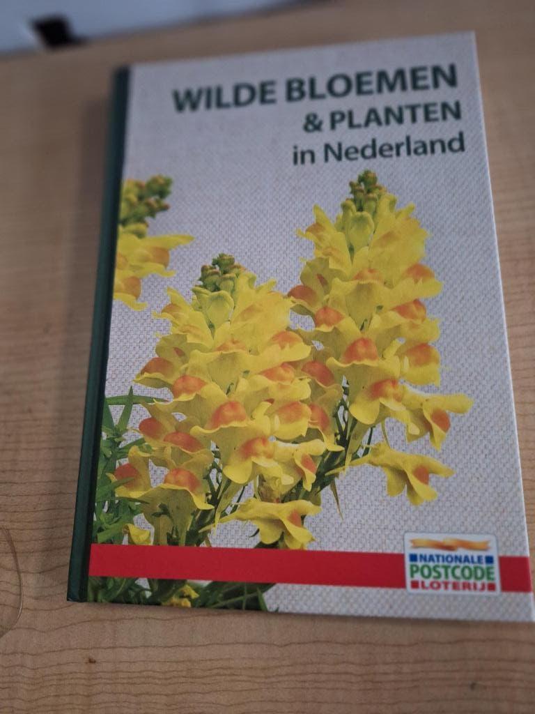 boek wilde bloemen en planten in Nederland, Ophalen of Verzenden, Zo goed als nieuw