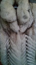 Zilvervos, Kleding | Dames, Jassen | Winter, Ophalen, Maat 38/40 (M)