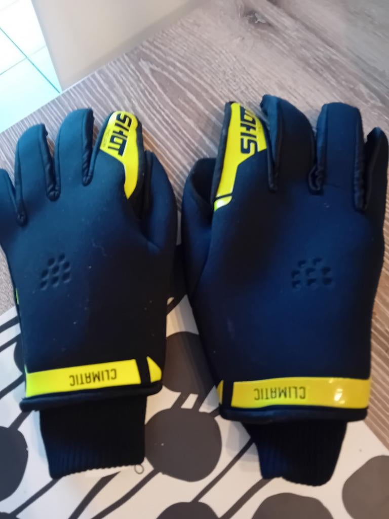 Gants de moto, Gants