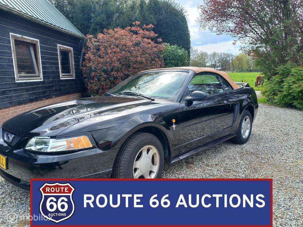 Ford Mustang Cabriolet | 2000 | Route 66 Auctions, Autos, Achat, Entreprise, Boîte manuelle, Autre carrosserie