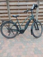 Stella Morena dark green MDB SI van 2020, Ophalen