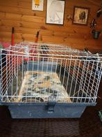 !! Grote kooi !!, Dieren en Toebehoren, Ophalen, Zo goed als nieuw, 75 tot 110 cm, Minder dan 65 cm