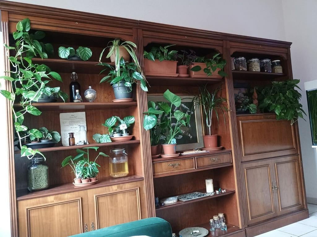 Bibliothèque, Enlèvement