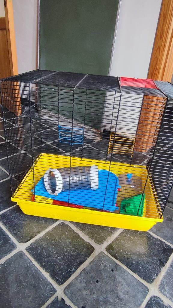 Caga hamster, Animaux & Accessoires, Enlèvement, Utilisé, Cage, Hamster