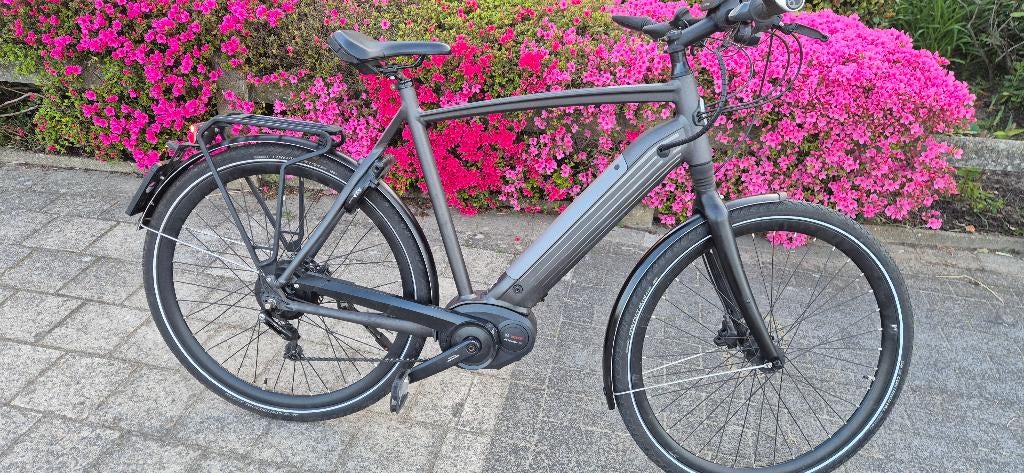 Speedpedelec Gazelle cityzen goed staat 2500 km, Ophalen of Verzenden, Gazelle