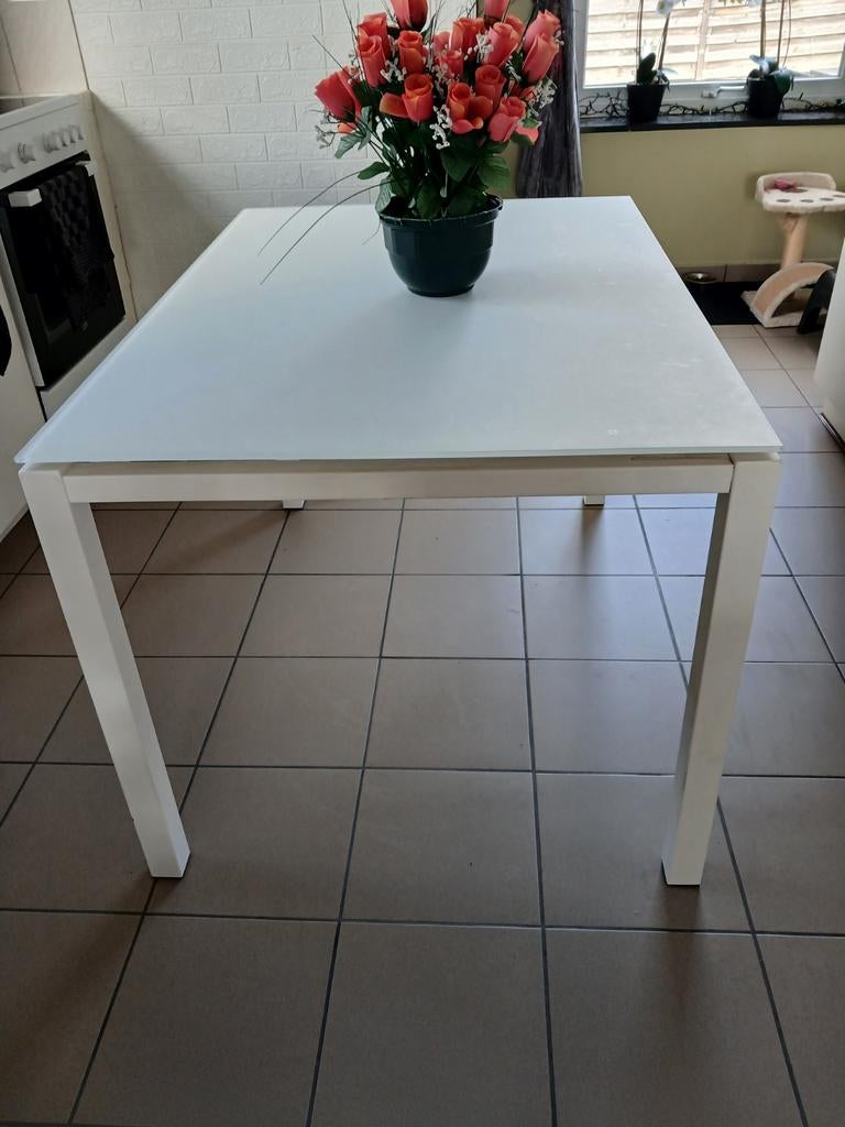 Witte eettafel te koop, Huis en Inrichting, Tafels | Eettafels, Ophalen, Glas