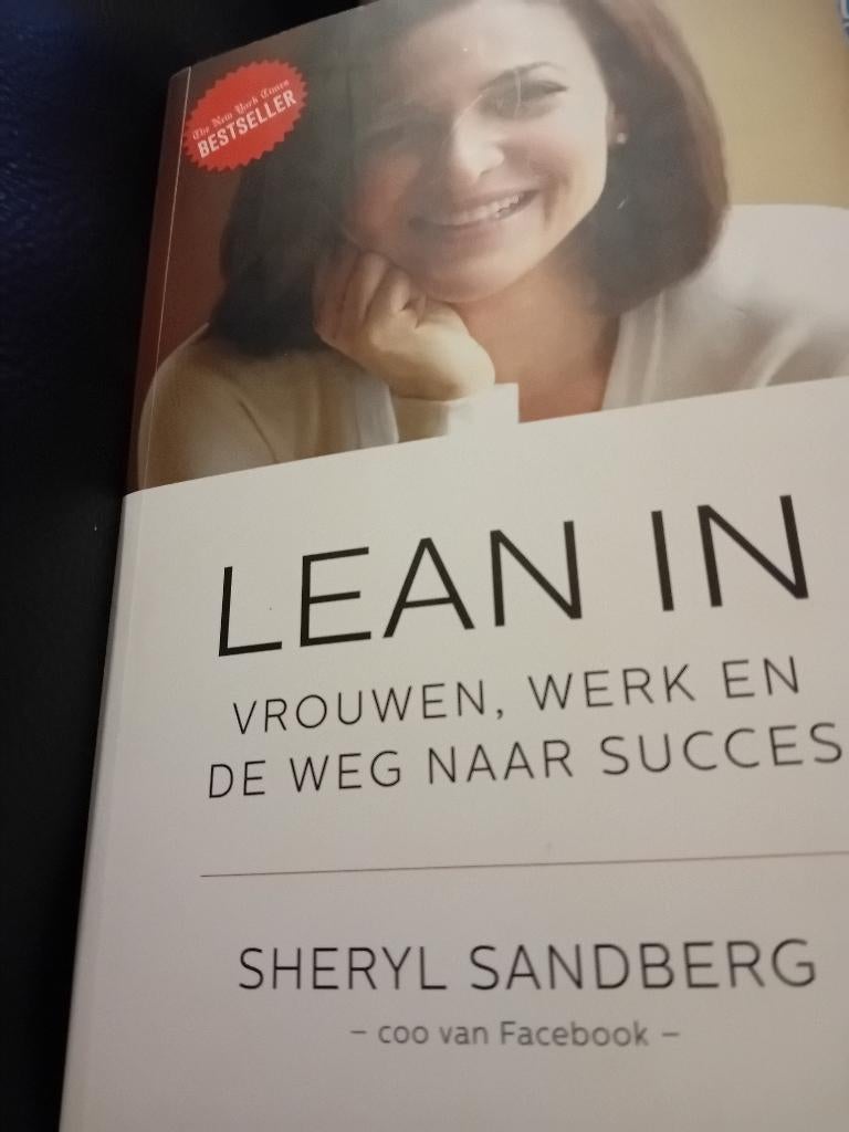 Boek lean in sheryl sandberg, Livres, Biographies, Enlèvement ou Envoi