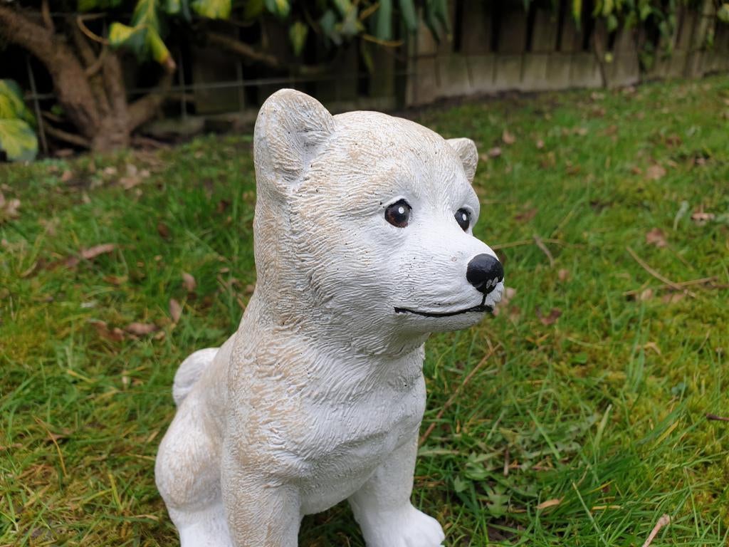 aanbieding , poolhond beton, Enlèvement ou Envoi, Neuf