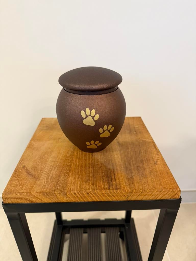 Urne, Enlèvement, Comme neuf