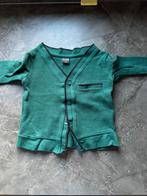 Vest met knopensluiting, Kinderen en Baby's, Babykleding | Maat 80, Ophalen of Verzenden, Gebruikt, Jongetje, Truitje of Vestje