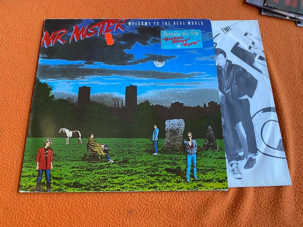 Mr. Mister, Cd's en Dvd's, Vinyl | Overige Vinyl, Ophalen of Verzenden