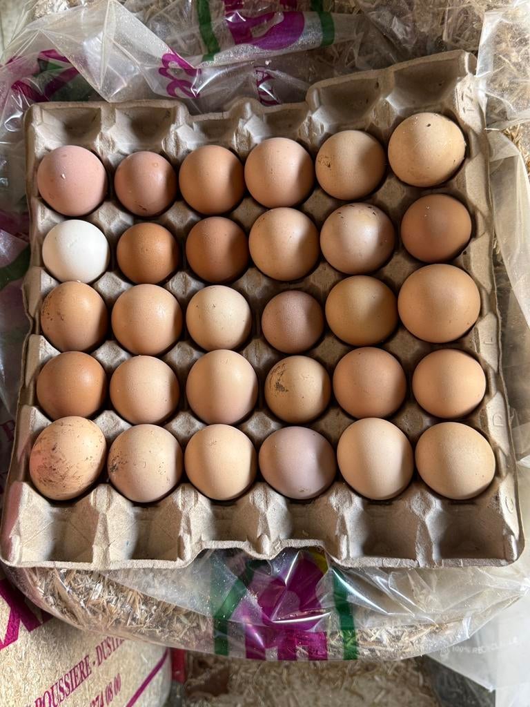 Te koop eieren, Enlèvement