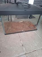 Terrarium  60x35x30  avec lampe chauffante, Animaux & Accessoires