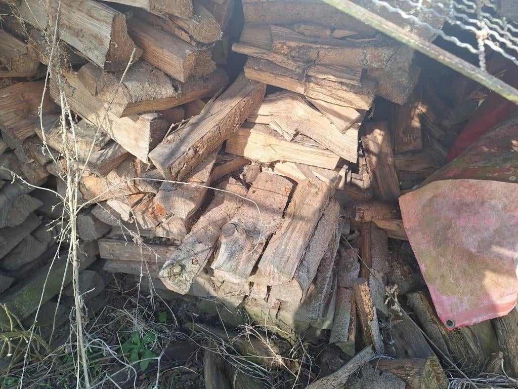Stères de bois tres sec, Jardin & Terrasse, Bois de chauffage, 6 m³ ou plus, Enlèvement, Bûches
