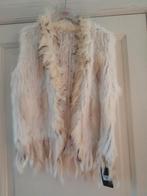 Konijn bodywarmer wit Nieuw+ Label, Vêtements | Femmes, Blousons sans Manches, Enlèvement ou Envoi, Neuf, Taille 42/44 (L), Blanc