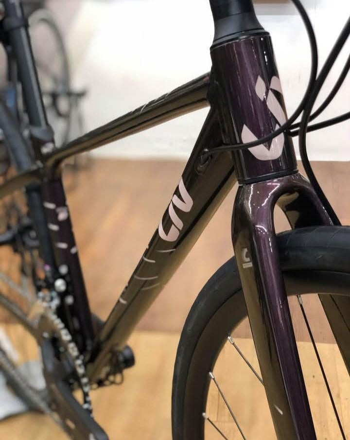 Liv. All-round, Fietsen en Brommers, Ophalen, 28 inch, Giant