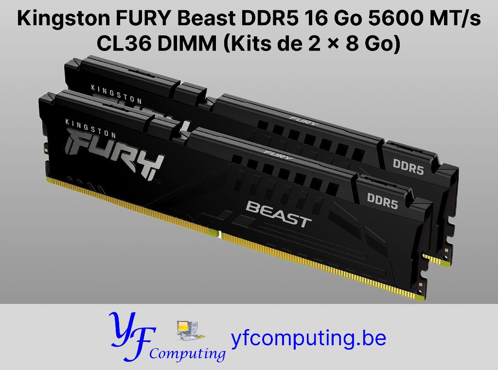 Kingston FURY Beast DDR5 16GB 5600MT/s (28 Gb), Nieuw, Ophalen of Verzenden, Desktop, DDR5