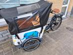 Babboe Curve E elektrische bakfiets, Enlèvement, Utilisé, Électrique