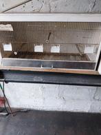 kweekkooien, Ophalen, Gebruikt, Hout, Broedkooi of Kweekkooi