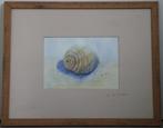 Van Berckelaer - Aquarel - 1996, Ophalen of Verzenden