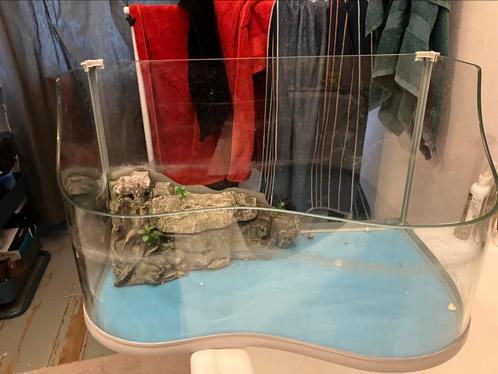 Terraria voor waterschildpadden, Dieren en Toebehoren, Reptielen en Amfibieën | Toebehoren, Gebruikt, Terrarium of Paludarium