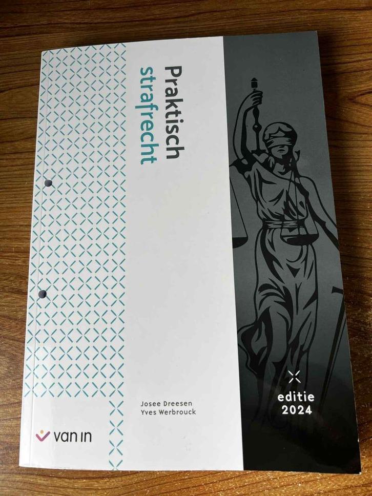 Handboek Praktisch strafrecht, Boeken, Studieboeken en Cursussen, Zo goed als nieuw, Hogeschool, Ophalen of Verzenden