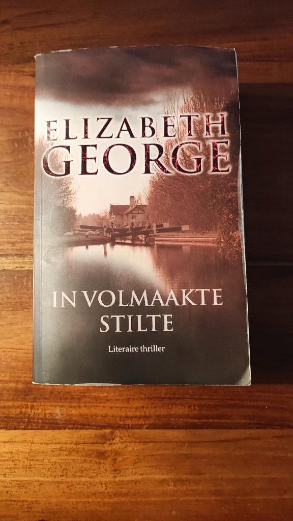 Elizabeth George - De volmaakte Stilte, Boeken, Thrillers, Gelezen, Ophalen of Verzenden