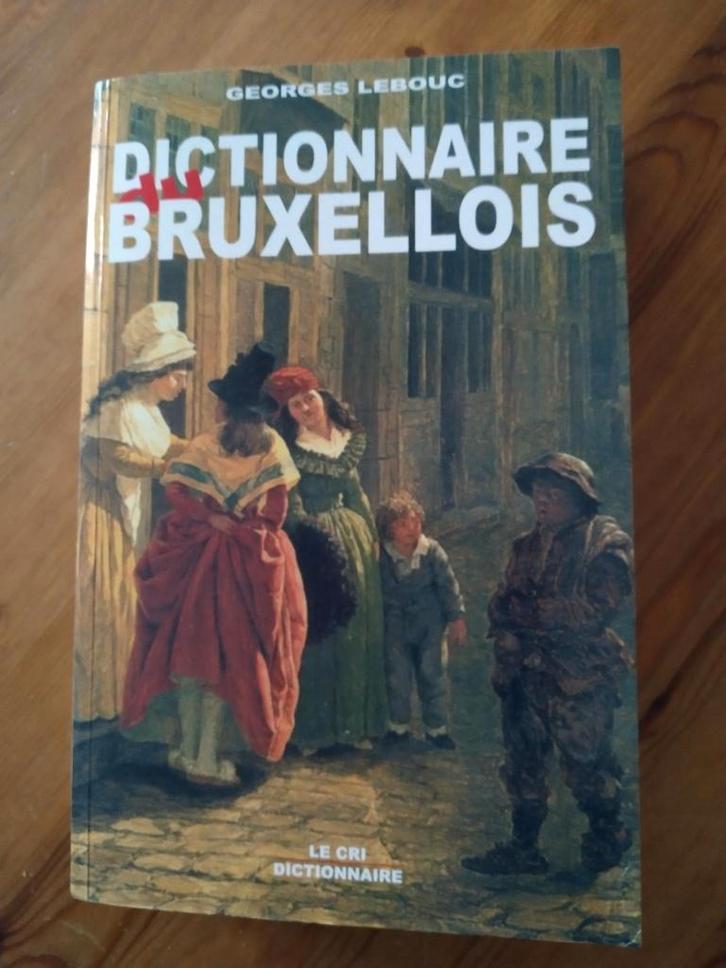 Dictionaire Bruxellois - comme neuf, Livres, Dictionnaires, Comme neuf, Autres langues, Autres éditeurs, Enlèvement ou Envoi