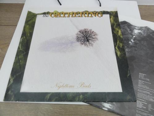 the Gathering-Nighttime Birds, Cd's en Dvd's, Vinyl | Hardrock en Metal, Gebruikt, Ophalen of Verzenden