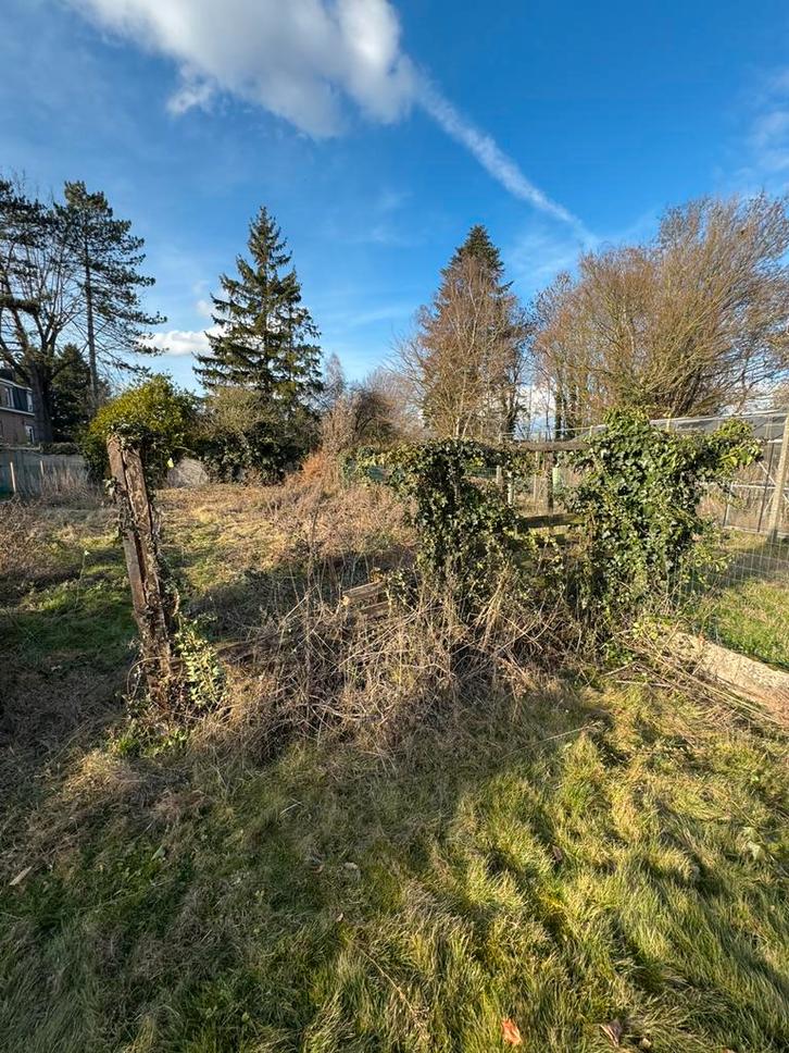 Gratis Brandhout tuinafsluiting, Tuin en Terras, Brandhout, Ophalen