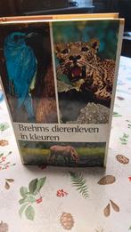 Brehms dierenleven in kleur, Enlèvement
