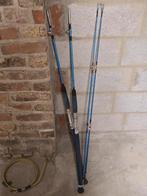 2x vis hengels, Watersport en Boten, Hengelsport | Algemeen, Ophalen