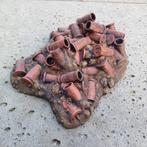 Warhammer terrain shell pile(unpainted), Hobby en Vrije tijd, Wargaming, Ophalen of Verzenden, Nieuw, Warhammer 40000, Accessoires