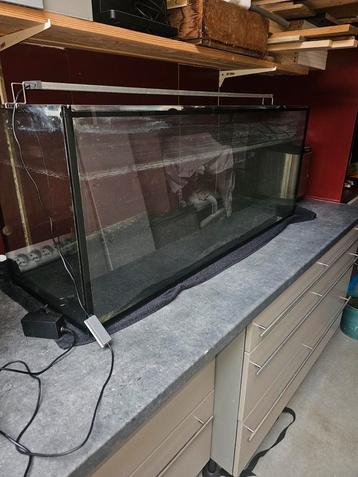 Aquarium avec divers accessoires, Enlèvement, Comme neuf