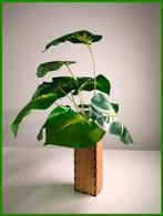 ART houten bloempot of kabelhoes 4x7x17cm, Overige materialen, Ophalen of Verzenden, Rechthoekig, Binnen