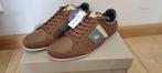 Chaussures Lacoste 44 (neuve), Neuf, Autres couleurs, Lacoste, Enlèvement