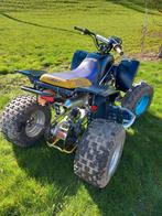 Blaster 200, Motos, Quads & Trikes