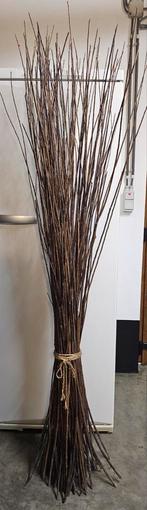 BUNDEL NATUURLIJKE TAKKEN XXL, Huis en Inrichting, Woonaccessoires | Droogbloemen, Ophalen, Nieuw